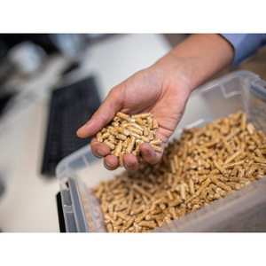 Granulés de bois industriels conçus pour une combustion à haute efficacité dans les chaudières et fours à biomasse - Product Image 3