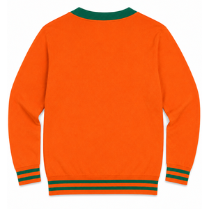 Cardigan universitaire FAMU à col en V, orange et vert, broderie en chenille, couleurs contrastées, décontracté, toutes saisons, pull HBCU - Product Image 2