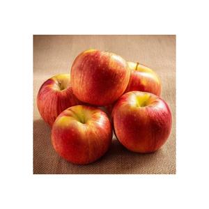 Manzanas Frescas de Alta Calidad, Dulces, Crujientes y Jugosas para Venta al por Mayor, Minoristas, Supermercados y Distribución de Servicios de Alimentos - Product Image 4