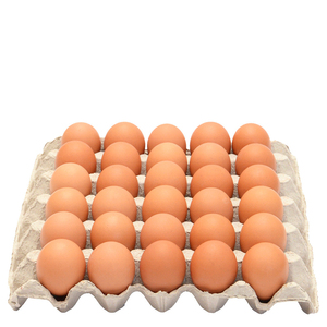 Œufs bruns disponibles en gros, prix d'usine et livraison rapide - Product Image 6