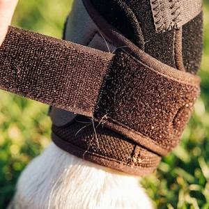Adjustable Horse <b>Leg</b> Boots Equestrian Riding Protective <b>Leg</b> Wraps for Training <b>Exercise</b> and Daily Use - Product Image 3