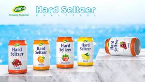 OEM 500ml Seltzer dur peut Wana fabricant Vietnam mangue et ananas saveur fruitée faible quantité minimale de commande boisson gazeuse en gros - Product Image 4