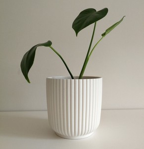 Maceta de Cerámica Blanca Acanalada con Orificio de Drenaje, Construcción Robusta, Decoración Minimalista para Plantas de Interior - Product Image 1