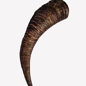 Cuerno de Cabra Natural Pulido de la Mejor Calidad, Cuerno de Cabra Natural Pulido de la Mejor Calidad con Tamaño Personalizado por Curio Craft - Product Image 5