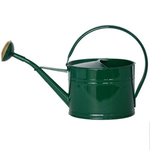 Arrosoir en métal de qualité supérieure pour l'entretien des plantes de jardin, pot à eau durable avec long bec verseur, taille et couleur personnalisables - Product Image 2