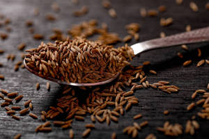 Graines de cumin entières séchées d'Inde (forme allongée du Gujarat) Nouvelle saison Qualité supérieure Jeera pour importateurs mondiaux Vente en gros - Product Image 2