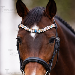 Fronture de cheval en cuir noir de qualité supérieure avec strass multicolores en cristal pour la décoration de la bridonnerie équestre - Product Image 1