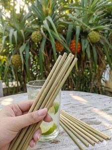 Eco2go Vietnam Custom Logo Eco-Friendly <b>Reusable</b> Bamboo <b>Straws</b> Disposable Biodegradable Party <b>Straw</b> Set with Paper Bag - Product Image 5