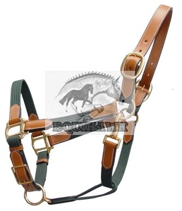 Halters de cheval de selle anglais personnalisés de qualité supérieure en cuir souple rembourré avec couleur et logo personnalisés en laiton - Product Image 1