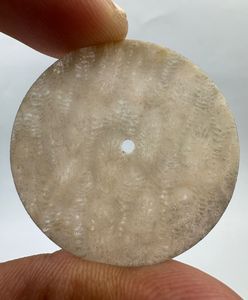 Cadran de montre personnalisé en corail naturel A K Gems, rond, 37 mm, épaisseur 0,90 mm, personnalisation de la taille/épaisseur/perforation, provenant du Rajasthan - Product Image 3