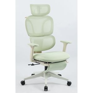 Sedia da Ufficio Ergonomica con Schienale Alto, Supporto Lombare Dinamico, Poggiatesta 2D, Braccioli 2D e Poggiapiedi - Product Image 1