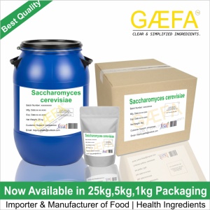Saccharomyces Cerevisiae 5 20 BN Premium, Polvo Probiótico Estabilizador de Alta Potencia para Aditivos Alimentarios, Alimentos Funcionales, Salud Intestinal - Product Image 4