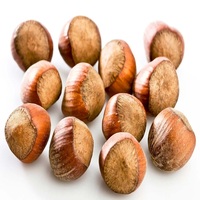 Noisettes grillées salées biologiques de haute qualité, noisettes séchées biologiques brutes pour la vente en gros alimentaire, noisettes salées savoureuses