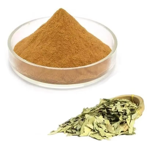 Polvo de Hojas de Senna Premium OEM, Grado Alimenticio, 100% Puro, Seco, para la Salud Digestiva, Limpieza del Colon y Apoyo al Bienestar - Product Image 2