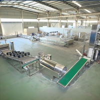 Aanpasbare 304 Food-Grade Roestvrijstalen Frietchips Die Machine Automatische 100Kg Lijnproductie Maken