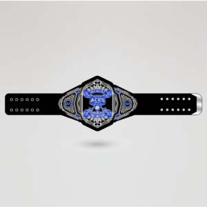 Ceinture de championnat de lutte personnalisée avec logo sur mesure, plaque centrale dorée à quatre côtés en laiton et zinc, sangle noire, équipement sportif personnalisé - Product Image 2