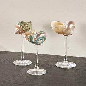 Copas de champán al precio más bajo, de concha marina pulida, para vino y bebidas, de Vietnam. - Product Image 2