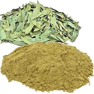 Extrait de feuille de séné de qualité fiable, 20% de sennosides, feuilles de séné - Product Image 1