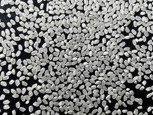 Exportateur de confiance de riz japonais JAPONICA SUSHI, grain doux et agréable, 5KG 10KG 25KG 50KG PEPA PP BOPP pour la vente en gros (Joice) - Product Image 6