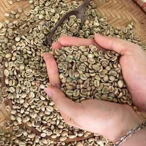 Grains de café vert Arabica biologique, complément alimentaire, saveur riche, procédé à sec, tamis 14, écologique, authentique ferme vietnamienne - Product Image 1