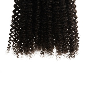 Cheveux naturels Remy bouclés biologiques à trame simple - 18 pouces, densité 200%, toutes les couleurs disponibles - Product Image 1