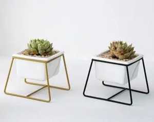 Colorful <b>Mini</b> Wire Plant Stand Hairpin Legs Round Flower Pot Holder Metal Desktop Succulent Pot Riser For Indoor <b>Table</b> - Product Image 1