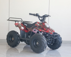 <span class=keywords><strong>Quad</strong></span> électrique <span class=keywords><strong>mini</strong></span> ATV <span class=keywords><strong>800W</strong></span> tout-terrain pour jeunes, prix de gros direct usine - Product Image 2