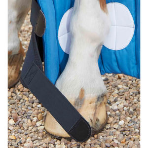 Bottes de transport pour chevaux en néoprène et bandages rafraîchissants 2026 – Design haut de gamme, qualité supérieure pour écurie - Product Image 4