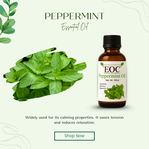 Aceite Esencial de Menta 100% Puro, Grado Perfumería, Proveedor a Granel, Aceite Natural de Mentha Piperita, Industria de Fragancias, Proveedor a Granel - Product Image 4