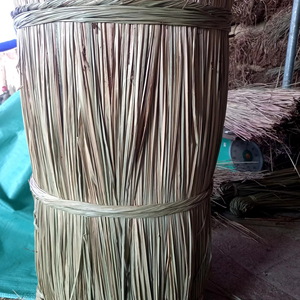 เส้นหญ้าทะเลถักเป็นขด ยาว 210 ฟุต เส้นใยธรรมชาติ สำหรับงานฝีมือและตกแต่ง คุณภาพส่งออก ราคาโรงงาน 33 ANGLE - Product Image 1