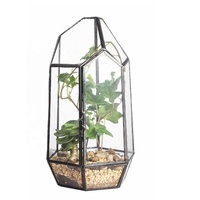 Terarium rumah kaca logam kualitas tinggi terarium rumah kaca sukulen dengan tutup rumah terarium hijau