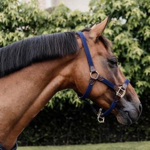 Harnais en nylon pour cheval, conçu sur mesure, pour l'équitation et les courses de chevaux - Product Image 6