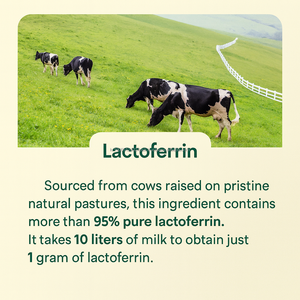 เม็ดมะกรูดธรรมชาติ lactoferrin Moro ORANGE tablets อาหารเสริมเพื่อสุขภาพสำหรับผู้ใหญ่ - Product Image 3