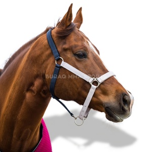 Accesorios Completos: Juego de Cuerdas y Cabestros para Caballos, Ponis Pequeños y Grandes, Suministros Ecuestres de Nylon, Estilo Silla de Montar Western - Product Image 1