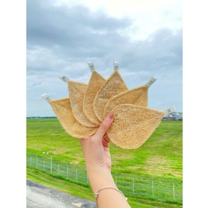 ใยบวบแห้งคุณภาพสูงสำหรับขัดผิวกาย ล้างจาน และทำความสะอาด - Product Image 2