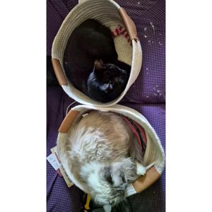 Cesto Conico Piccolo da 13 Pollici Color Crema con Base Quadrata e Corda Decorativa Intrecciata per Uso Lavanderia - Product Image 6