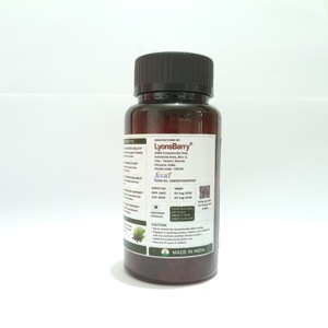 Cápsulas de Saw Palmetto para la Salud de la Próstata y el Apoyo Inmunológico, Suplemento Dietético para Adultos, 60 Cápsulas - Product Image 2