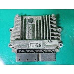 ECUs y Módulos de Computación Usados de Carnival 391044X945 - Product Image 1