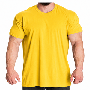 Camiseta Deportiva de Manga Corta para Hombre, Corte Regular, Anti-Pilling, Cuello Redondo, Algodón, Lisa, para Gimnasio, con Logotipo Personalizado, Fabricante OEM ODM - Product Image 1