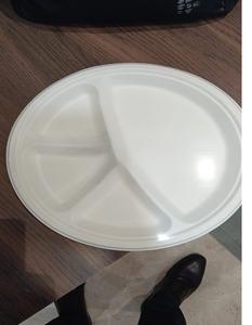 Assiettes jetables écologiques en bagasse de canne à sucre biodégradable et compostable, très résistantes, blanches, 10 pouces, lot de 100 pour fêtes - Product Image 5