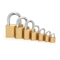 Poignées de sécurité robustes en acier inoxydable pour meubles, serrures manuelles pour chambre, cuisine, extérieur, villa - Durables et antirouille