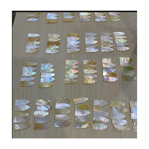 Tuiles en nacre naturelle pour la décoration murale de meubles de luxe et les projets d'amélioration de l'habitat, en provenance du Vietnam - Product Image 3