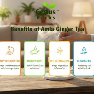 Sachets de thé Amla Gingembre à immersion, directement de l'usine, bien-être naturel, extrait de plantes séchées riches en nutriments, vente en gros, affaires mondiales, nouveau conditionnement - Product Image 4