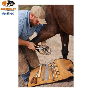 Kit Profesional de Herramientas para Herrador de Caballos, Set Completo para el Cuidado y Aseo de Pezuñas con Extractor de Clavos, Cortaúñas, Lima y Recortadora, Duradero para Equinos - Product Image 6