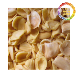 Segmentos de Jaca Congelados Naturales para Distribución al por Mayor a Fabricantes de Alimentos, Restaurantes y Snacks Tropicales - Product Image 3