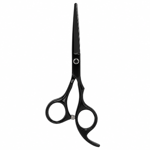 Ciseaux à cheveux professionnels de 6 pouces en acier inoxydable, outil de coiffure (noir) - Product Image 1