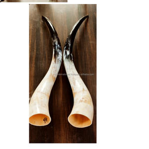 Couleur naturelle de corne de buffle Vente chaude Paire de produits Corne couleur blanche naturelle Conception supérieure de qualité incroyable pour la vente - Product Image 3