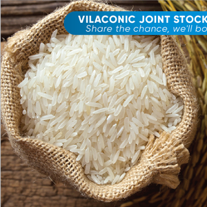 ข้าวหอมมะลิเวียดนามพรีเมียมสีเหลือง มิลาโกรซา ตัวเลือกที่ดีที่สุด ข้าวหอมกลิ่นหอม ข้าวเมล็ดยาว ขายส่งเพื่อการส่งออก - Product Image 3