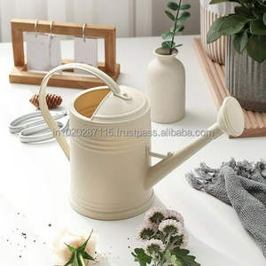 Bidon d'eau décoratif antique galvanisé avec bec en acier et poignée souple pour l'entretien du jardin domestique et les cadeaux. - Product Image 4