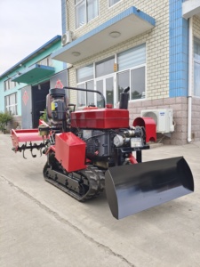 Motoculteur multifonctionnel à succès avec fonctions de semis, fertilisation et désherbage, moteur puissant - Product Image 2